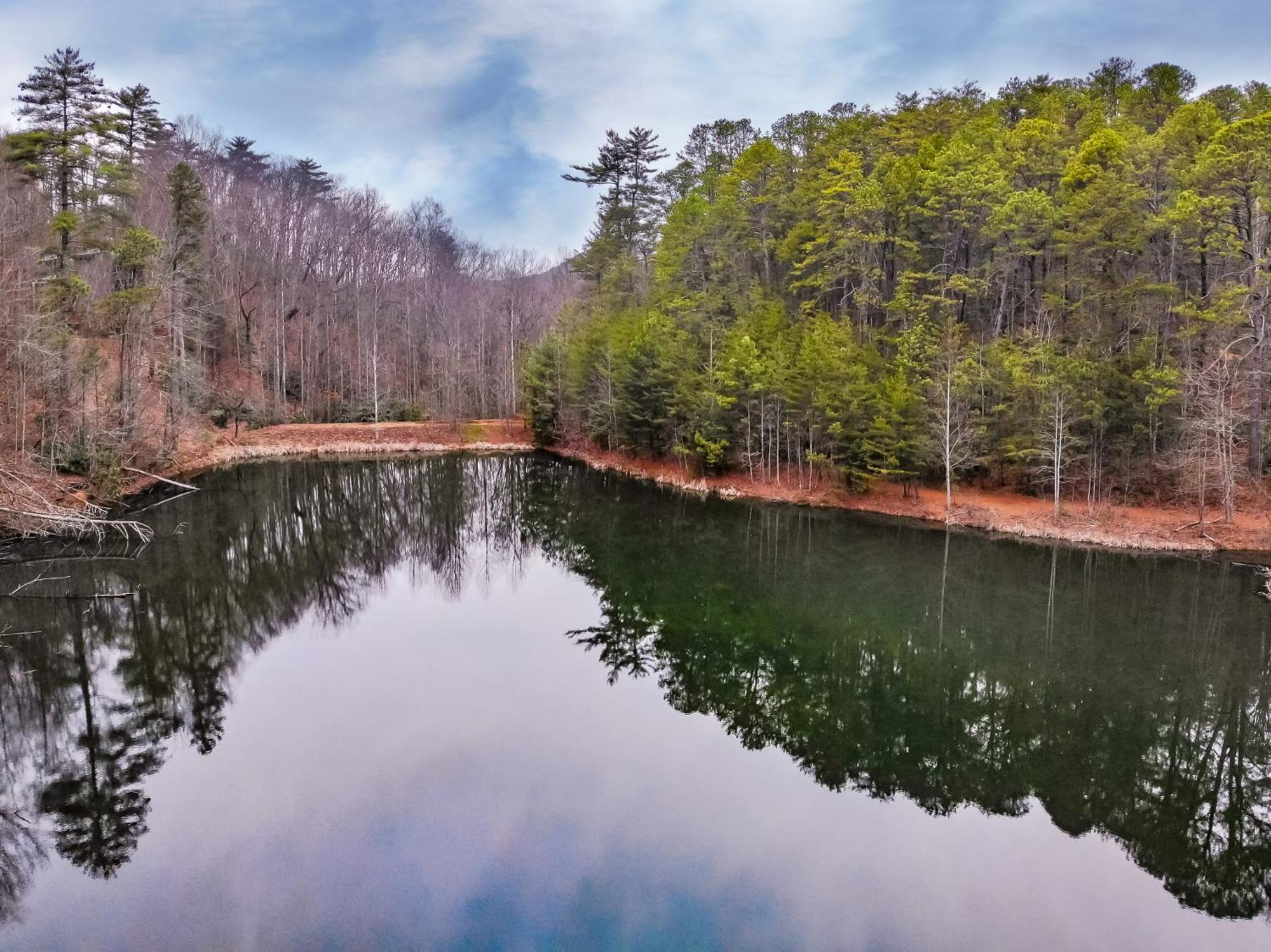 Alpine Joy-Hot Tub, Pond Access ,1089 Of Free Tickets For Each Paid Day, Dollywood And More! ทาวน์เซนด์ ห้อง รูปภาพ