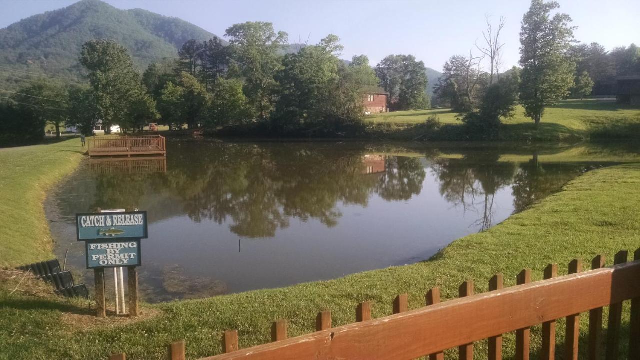 Alpine Joy-Hot Tub, Pond Access ,1089 Of Free Tickets For Each Paid Day, Dollywood And More! ทาวน์เซนด์ ภายนอก รูปภาพ
